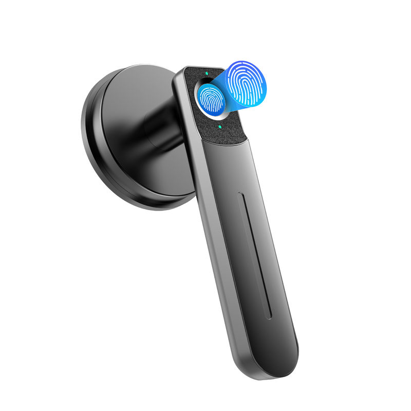 Fermeture de porte à empreinte digitale, verrouillage de porte sans clé avec poignée, verrouillage de porte biométrique, 100 empreintes digitales