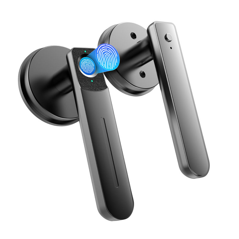 Fermeture de porte à empreinte digitale, verrouillage de porte sans clé avec poignée, verrouillage de porte biométrique, 100 empreintes digitales