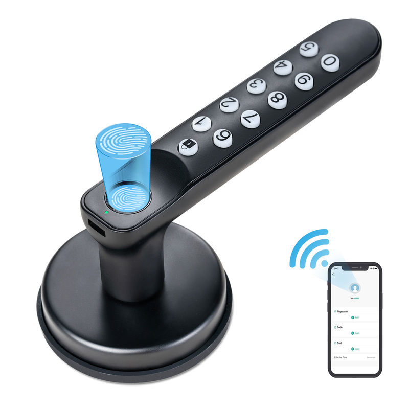 Clé de sauvegarde, bouton de porte à empreinte digitale intelligent T02, serrures de porte sans clé avec claviers, serrure de porte intelligente sur l'application Tuya