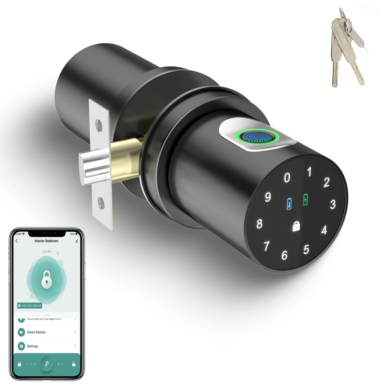 Q1 Fermeture de porte intelligente noire Poignée de porte d'empreintes digitales pour chambre à coucher à domicile
